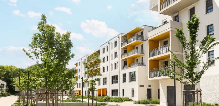 Which Developers Are Active In Sector 56, Gurugram And What Projects Do They Offer?